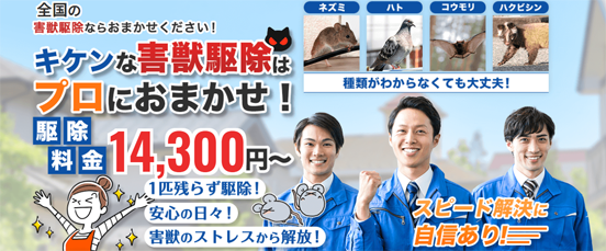 害獣退治屋さんの評判と料金・・の画像